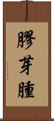 膠芽腫 Scroll