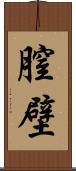 膣壁 Scroll