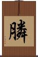 膦 Scroll
