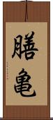 膳亀 Scroll