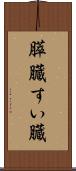 膵臓 Scroll