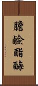 膽鹼酯酶 Scroll