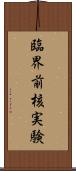 臨界前核実験 Scroll