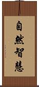 自然智慧 Scroll