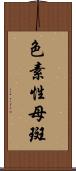 色素性母斑 Scroll