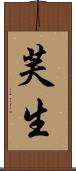芙生 Scroll