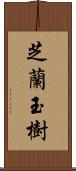 芝蘭玉樹 Scroll