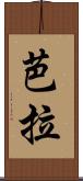 芭拉 Scroll