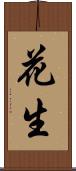 花生 Scroll