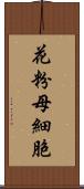 花粉母細胞 Scroll