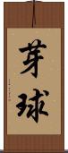 芽球 Scroll