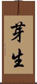 芽生 Scroll