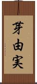 芽由実 Scroll