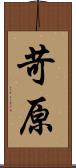 苛原 Scroll