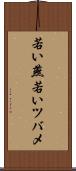 若い燕 Scroll