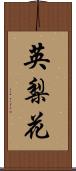 英梨花 Scroll