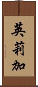 英莉加 Scroll