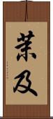 茉及 Scroll