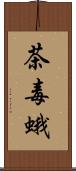 茶毒蛾 Scroll
