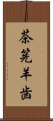 茶筅羊歯 Scroll