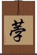 荸 Scroll