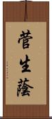 菅生蔭 Scroll