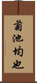 菊池均也 Scroll