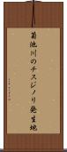 菊池川のチスジノリ発生地 Scroll