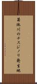 菊池川のチスジノリ発生地 Scroll