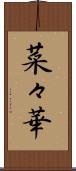 菜々華 Scroll