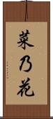 菜乃花 Scroll