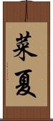 菜夏 Scroll