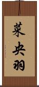 菜央羽 Scroll