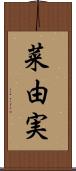 菜由実 Scroll