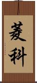 菱科 Scroll