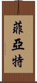 菲亞特 Scroll