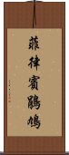 菲律賓鵑鳩 Scroll