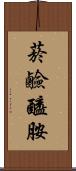 菸鹼醯胺 Scroll