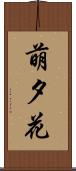 萌夕花 Scroll