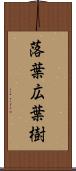 落葉広葉樹 Scroll