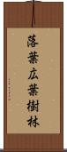 落葉広葉樹林 Scroll