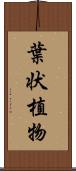 葉状植物 Scroll