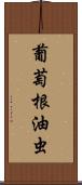 葡萄根油虫 Scroll