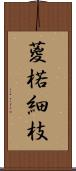 葼 Scroll