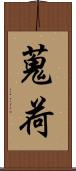 蒐荷 Scroll