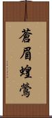 蒼眉蝗鶯 Scroll