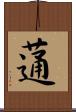 蓪 Scroll