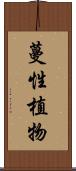 蔓性植物 Scroll