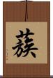 蔟 Scroll