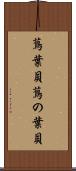 蔦葉貝 Scroll